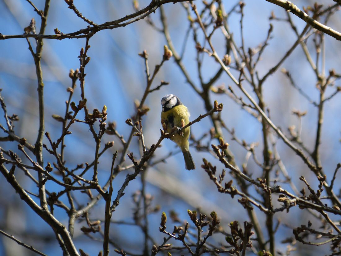 Photograph by Ruth Hutton