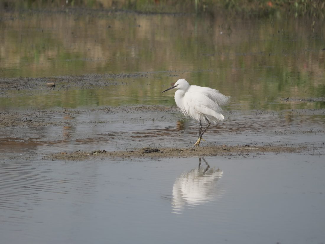 Photograph by Ruth Hutton