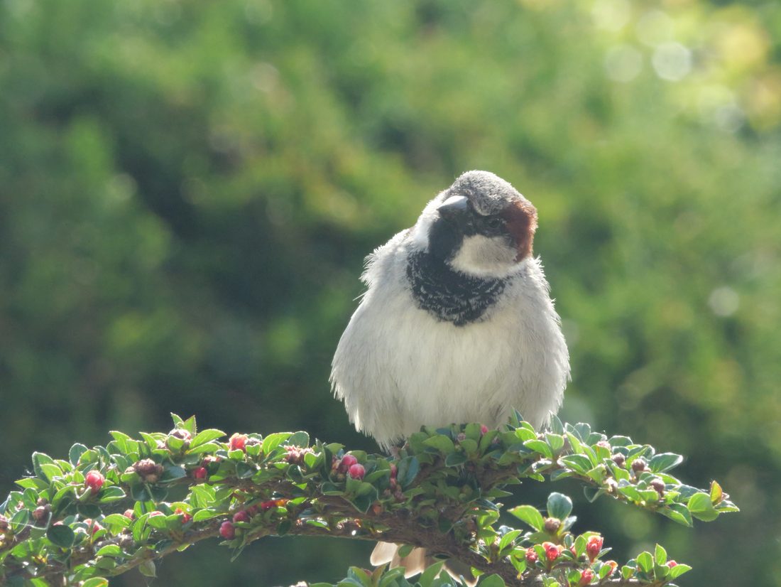 Photograph by Ruth Hutton