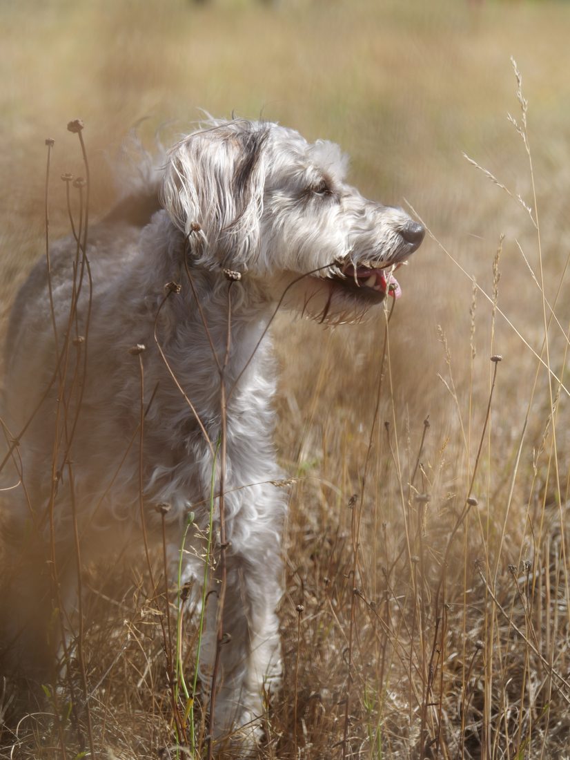 Photograph by Ruth Hutton
