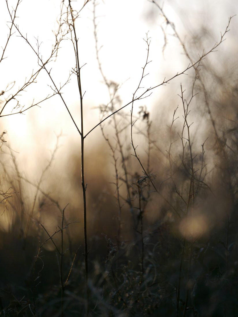 Photograph by Ruth Hutton